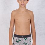 9-1-ART-530340-1-Deciji-boks,-Sastav-95�-pamuk,5�-elastan,-Odrzavanje-60stepeni,-Velicine-2,4,6,-Cena-316,00rsd,-Art-531340-1-Velicine-8,10,12,14,-cena-376,00rsd