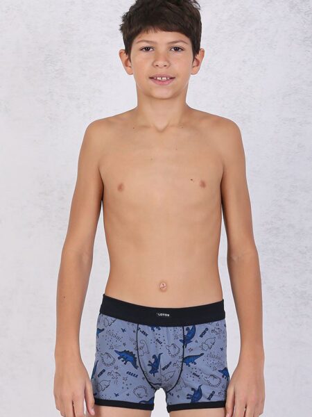 11-1-ART-530340-3-Deciji-boks,-Sastav-95�-pamuk,5�-elastan,-Odrzavanje-60stepeni,-Velicine-2,4,6,-Cena-316,00rsd,-Art-531340-3-Velicine-8,10,12,14,-cena-376,00rsd