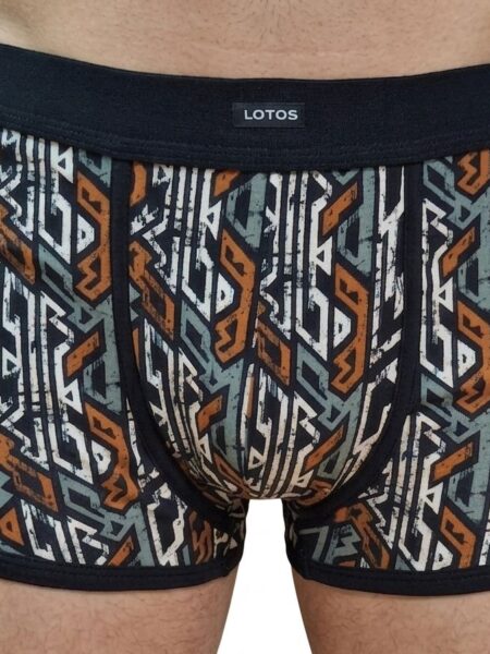 Muški boks Alberto 530270-5 sa sivo-braon apstraktnim printom i crnim pojasom – Lotos Arilje